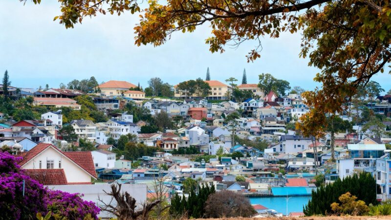 Da Lat Travel Guide Complete 2025: 8 Essential Tips for Vietnam’s Dreamy Mountain City