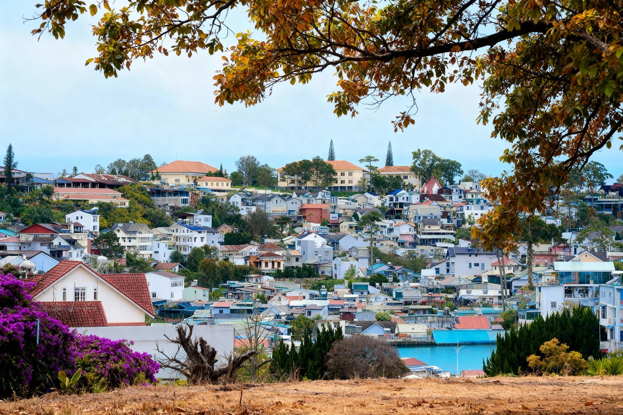 Da Lat Travel Guide Complete 2025: 8 Essential Tips for Vietnam’s Dreamy Mountain City