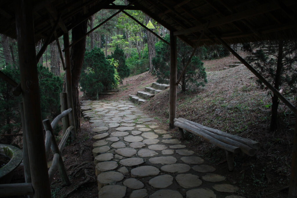 Da Lat travel guide complete - flower gardens and mountain scenery in Vietnam's flower city