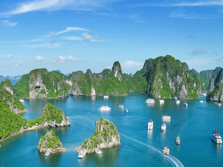 9 Best Things to Do in Ha Long: Must-See Attractions & Entertainment